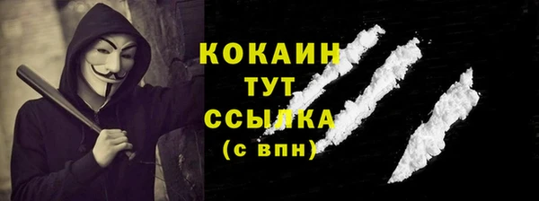 тгк Данков