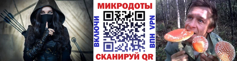 Псилоцибиновые грибы мицелий Сергач
